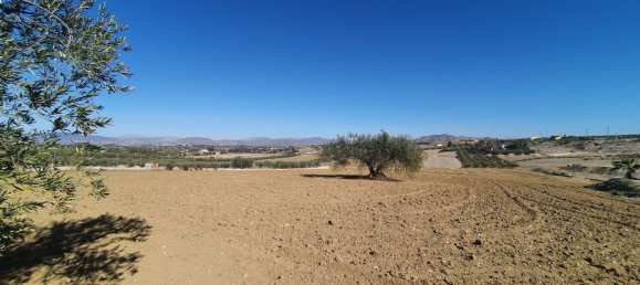  Land in Alhaurin el Grande, Spain No. 154949 7
