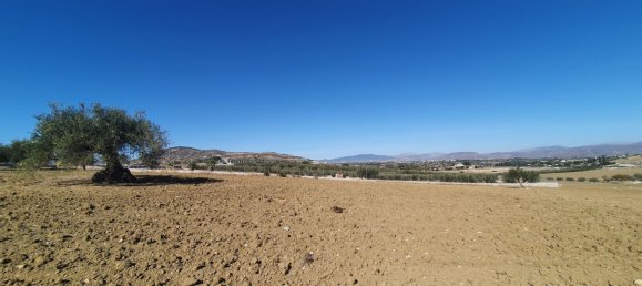  Land in Alhaurin el Grande, Spain No. 154949 11