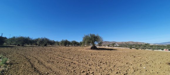  Land in Alhaurin el Grande, Spain No. 154949 3