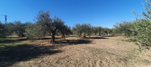  Land in Alhaurin el Grande, Spain No. 154949 4