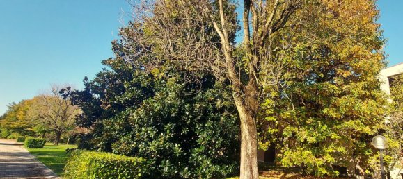 5 rooms Apartment in Treviso, Italy No. 214251 32