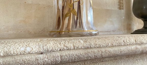 5 bedrooms House in Le Coudray, France No. 245162 8