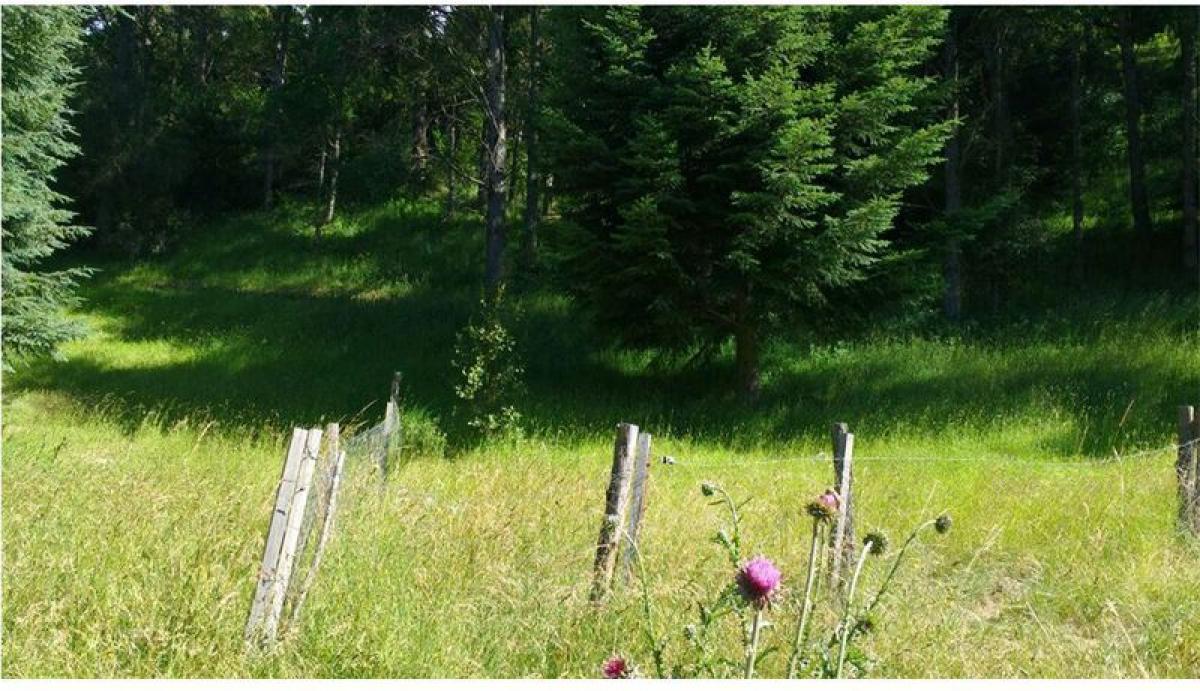  قطعة أرض في Neuquen, Argentina رقم 34720