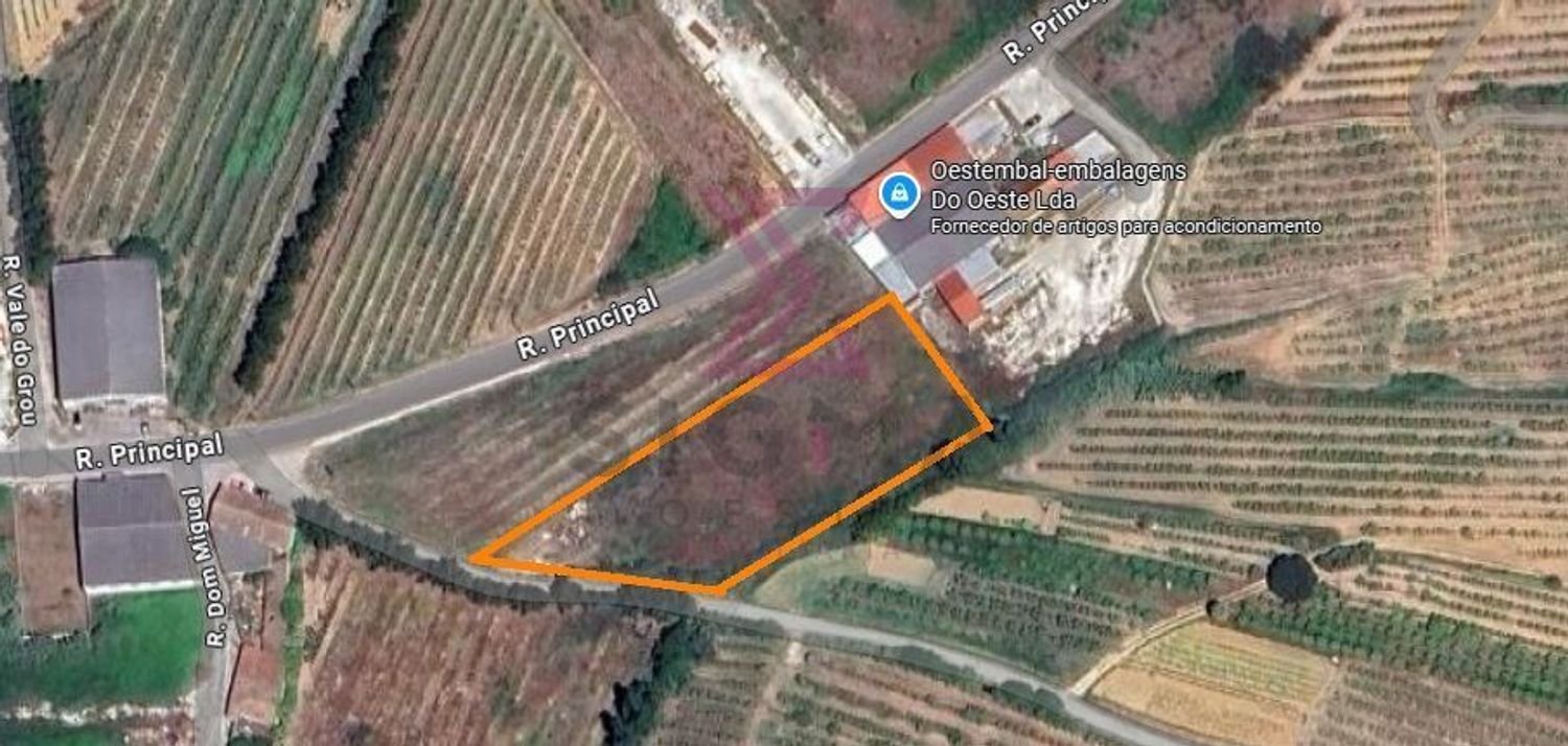  قطعة أرض في Bombarral, Portugal رقم 309849