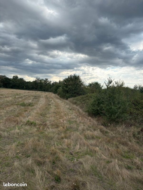 Terreno en Haute-Garonne, France No. 342106