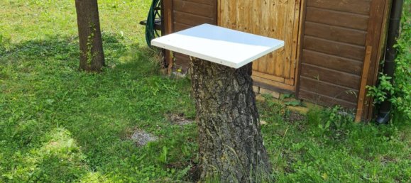 Casa de 4 habitaciónes en Tulln an der Donau, Austria No. 24943 6