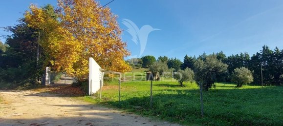 4 bedrooms House in Santarem, Portugal No. 124978 20