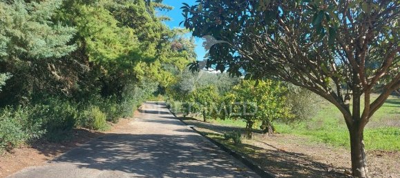 4 bedrooms House in Santarem, Portugal No. 124978 27