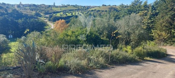 4 bedrooms House in Santarem, Portugal No. 124978 19