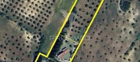 4 bedrooms House in Santarem, Portugal No. 124978 29