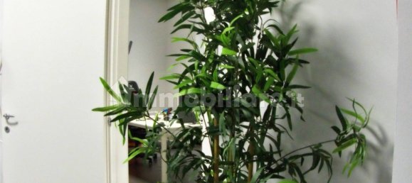 3 rooms Office in Turin, Italy No. 75253 14