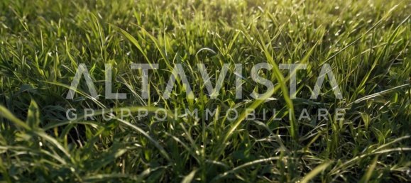 Terreno em Manerba del Garda, Italy 7100 m² N.º 274786 2