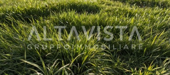 Terreno em Manerba del Garda, Italy 7100 m² N.º 274786 5