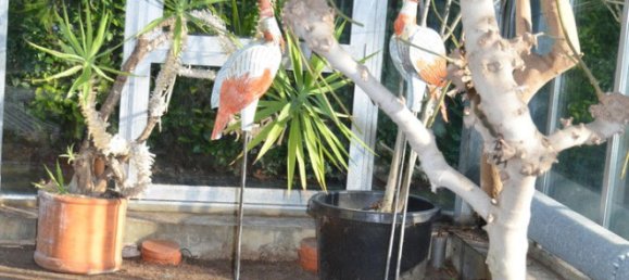 5-Zimmer Haus in Borken, Germany, Nr. 277958 11