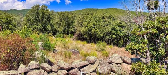 Terrain à Porto-Vecchio, France 3877m² No. 355734 2