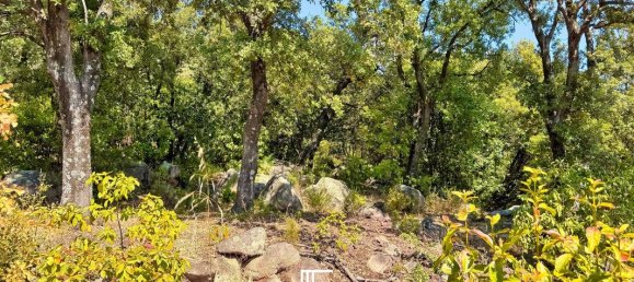 Terrain à Porto-Vecchio, France 3877m² No. 355734 7