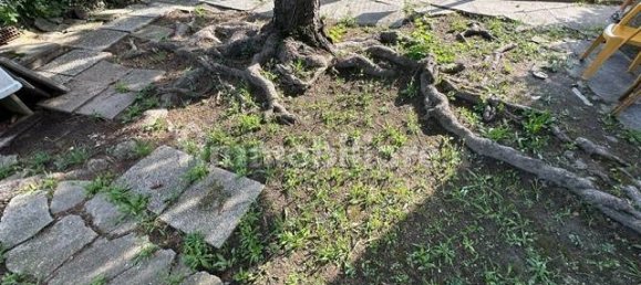 3 Schlafzimmer Haus in Padua, Italy, Nr. 358968 4