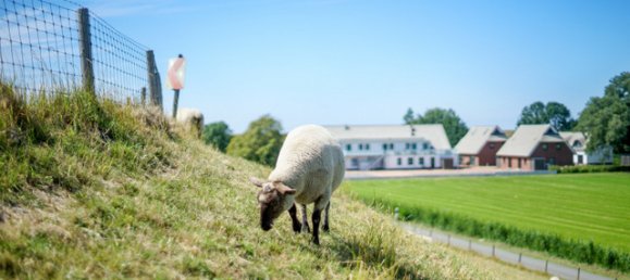 2 rooms Apartment in Wesermarsch, Germany No. 178124 8