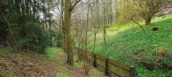 6-Zimmer Grundstück in Purkersdorf, Austria, Nr. 166184 9