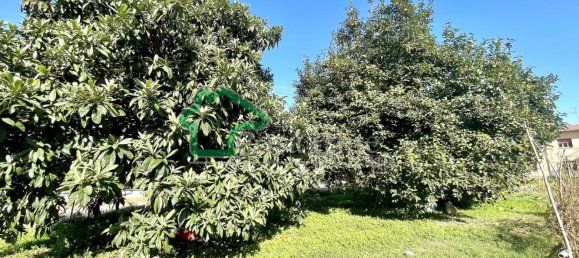 4 rooms House in Rodigo, Italy No. 16902 14