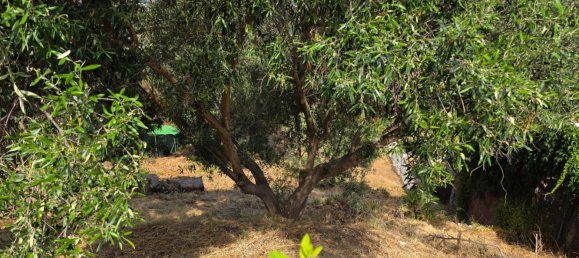 Grundstück in Abrera, Spain 462m², Nr. 156731 2