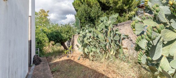 15-salle Villa à Palermo, Italy No. 307603 12