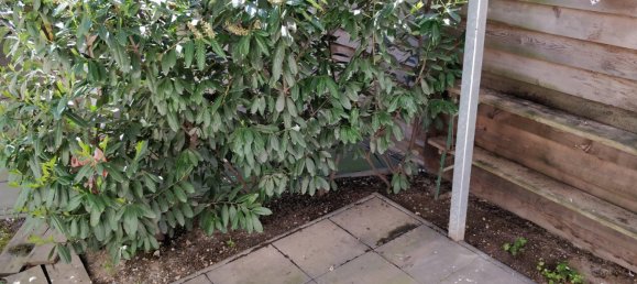 Квартира с 2 комнатами в Лейпциг, Германия № 324668 17