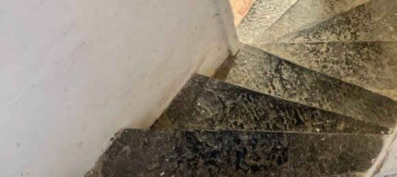 4 bedrooms House in Willems, France No. 49073 16