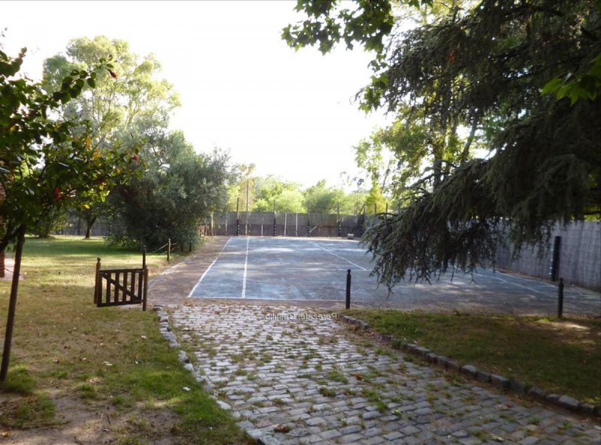 Земельный участок в Монтевидео, Уругвай № 14813