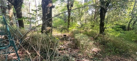 6-Zimmer Villa in Vaglia, Italy, Nr. 265199 10