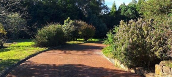 5 chambres Maison à Sintra, Portugal No. 157537 16