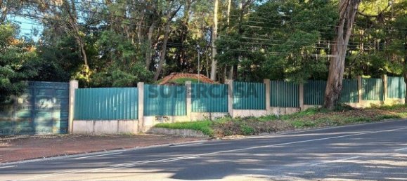 5 chambres Maison à Sintra, Portugal No. 157537 21