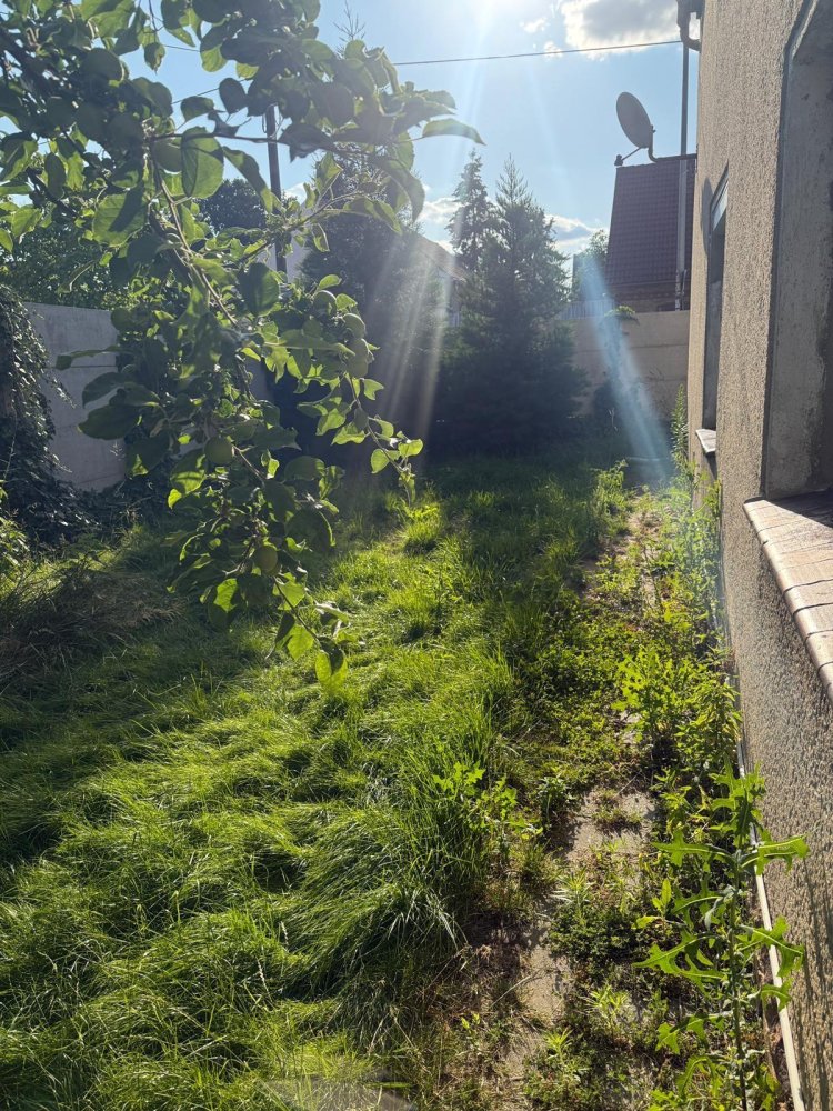 Moradia em banda de 7 divisões em Elbe-Elster, Germany N.º 270898