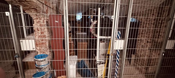 Estudio en Dresden, Germany No. 85736 17