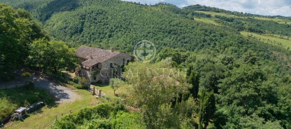 5 bedrooms House in San Casciano dei Bagni, Italy No. 27505 2