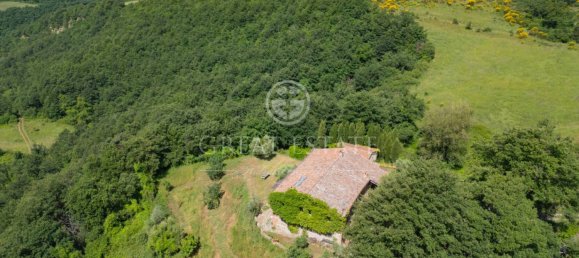 5 bedrooms House in San Casciano dei Bagni, Italy No. 27505 12