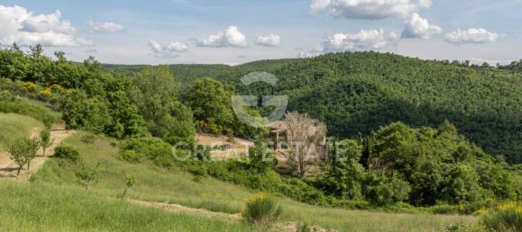 5 bedrooms House in San Casciano dei Bagni, Italy No. 27505 39