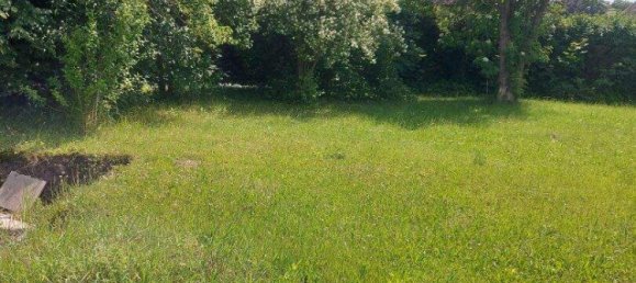 3 rooms Bungalow in Enzersdorf an der Fischa, Austria No. 216776 6