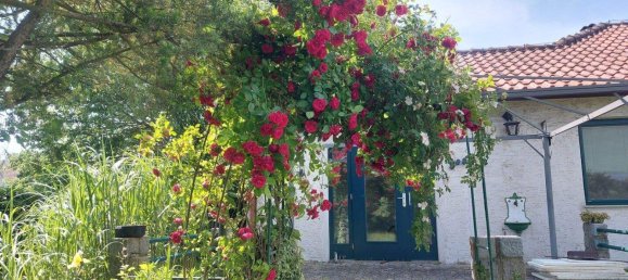 3 rooms Bungalow in Enzersdorf an der Fischa, Austria No. 216776 5