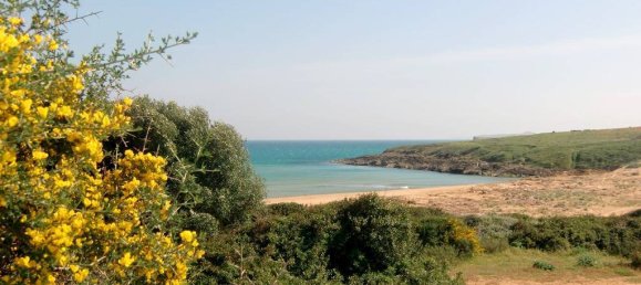 2 chambres Maison à Noto, Italy No. 137609 17