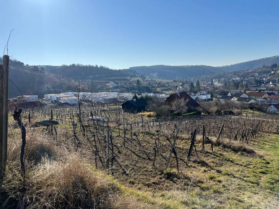 Terrain à Senftenberg, Austria No. 127315