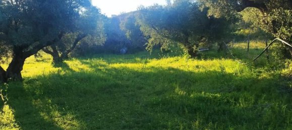 1-salle Terrain à Simeri Crichi, Italy No. 24517 2