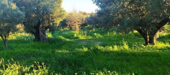 1-salle Terrain à Simeri Crichi, Italy No. 24517 9