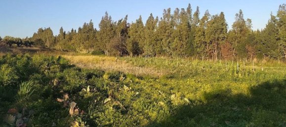 1-salle Terrain à Simeri Crichi, Italy No. 24517 7