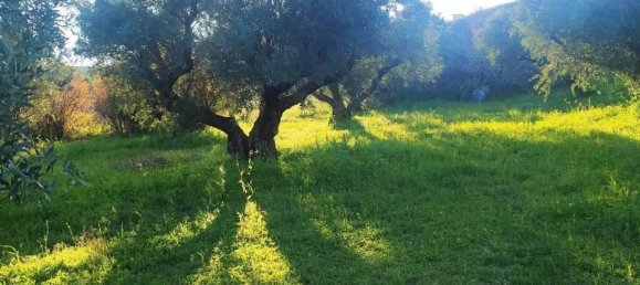 1-salle Terrain à Simeri Crichi, Italy No. 24517 10
