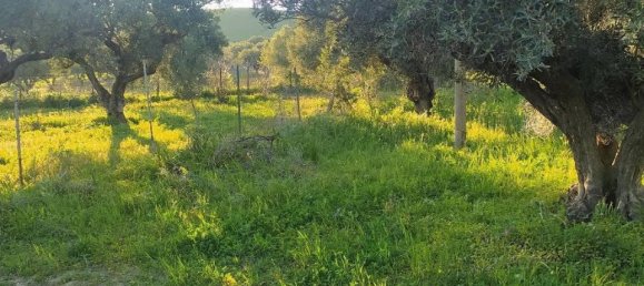 1-salle Terrain à Simeri Crichi, Italy No. 24517 6