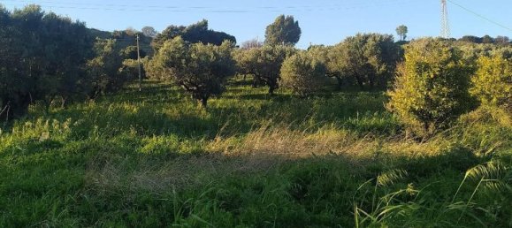 1-salle Terrain à Simeri Crichi, Italy No. 24517 12