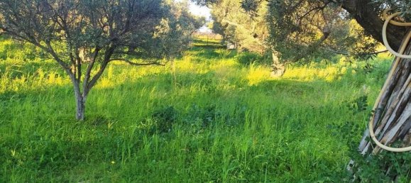 1-salle Terrain à Simeri Crichi, Italy No. 24517 3