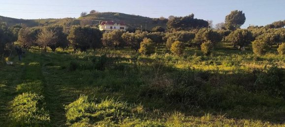 1-salle Terrain à Simeri Crichi, Italy No. 24517 5