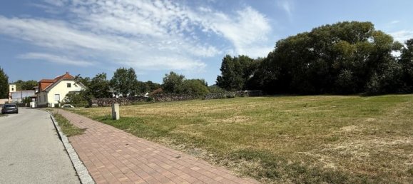 2566m² Land in Bad Tatzmannsdorf, Austria No. 243811 3